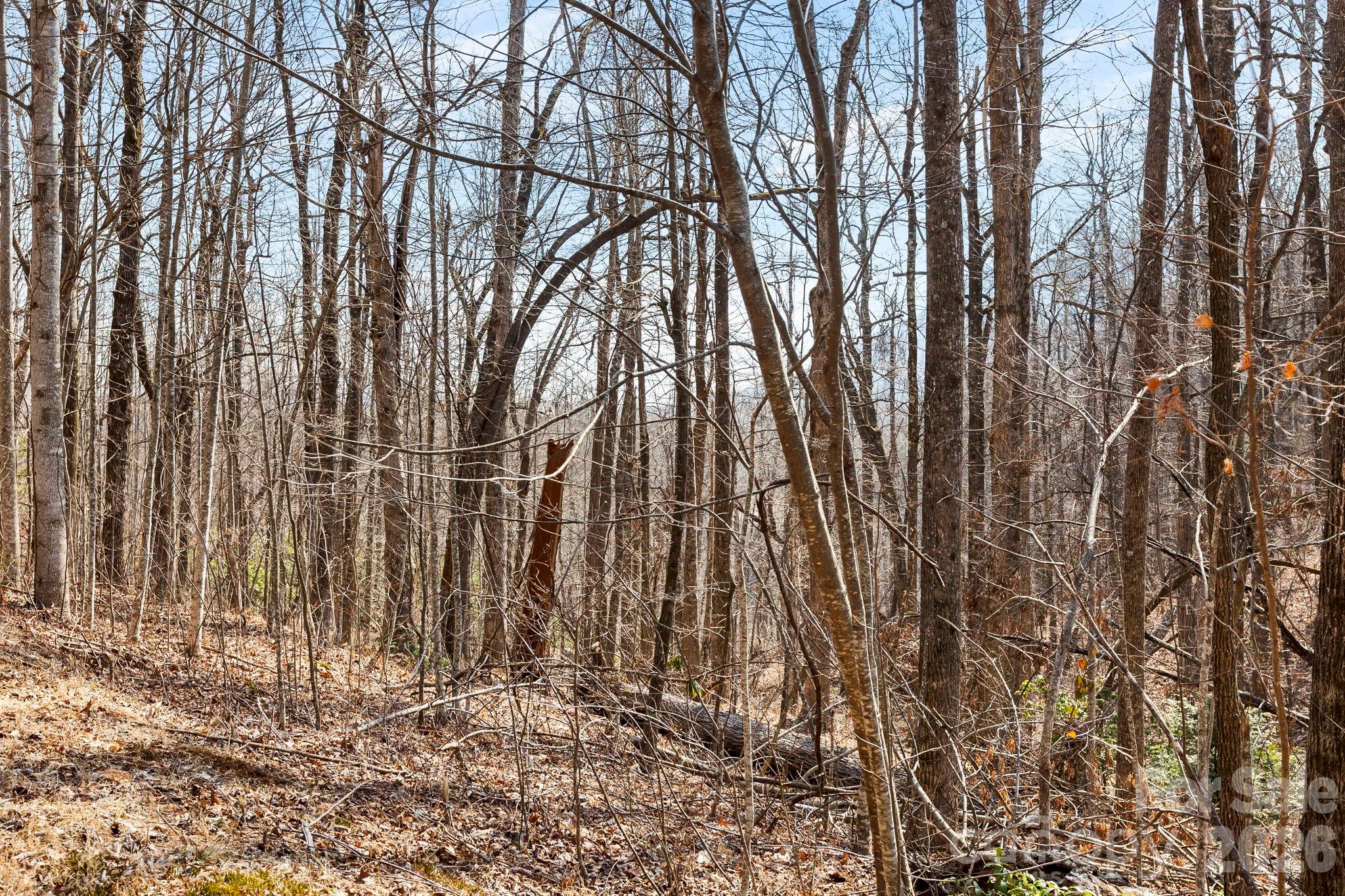 Lot 5 Laurel Mountain Trail Black Mountain NC 28711