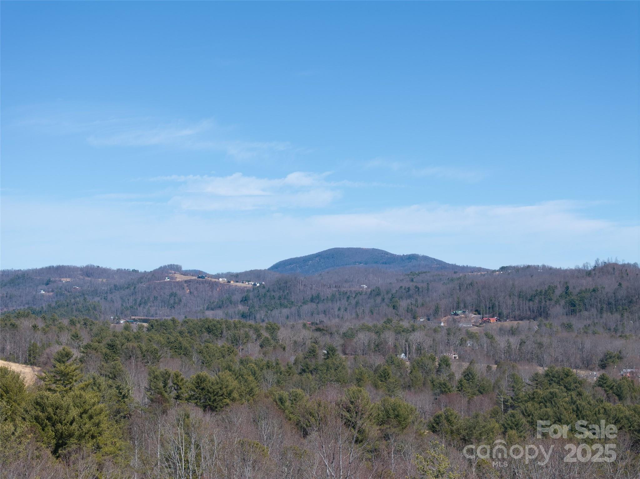 9999 Star Point Drive Hendersonville NC 28792