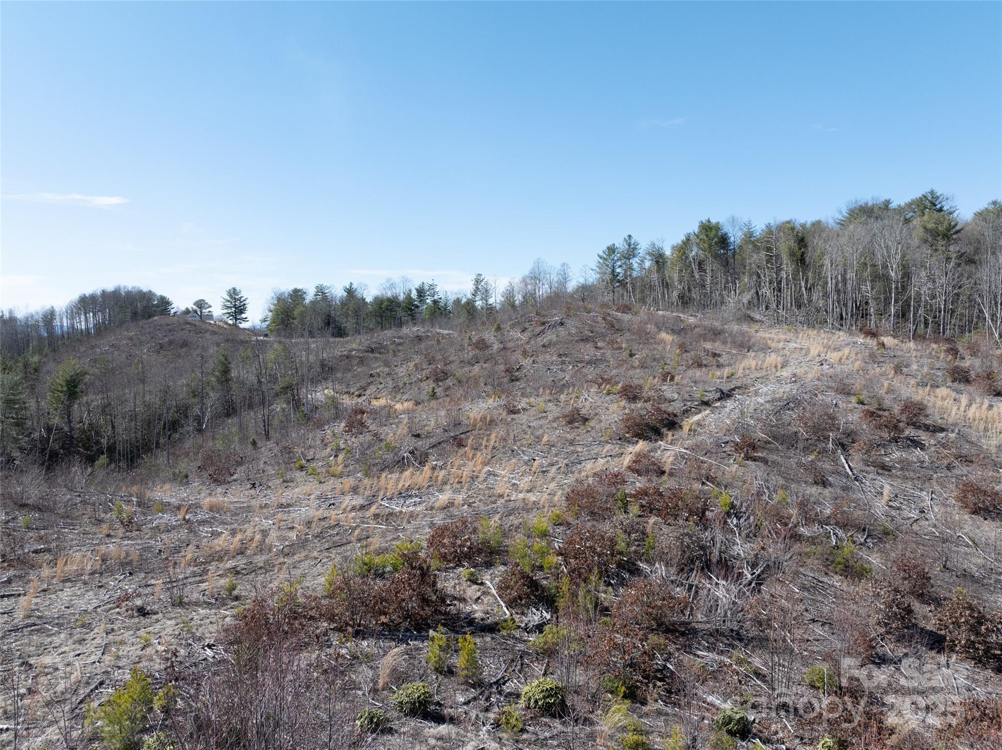 9999 Star Point Drive Hendersonville NC 28792
