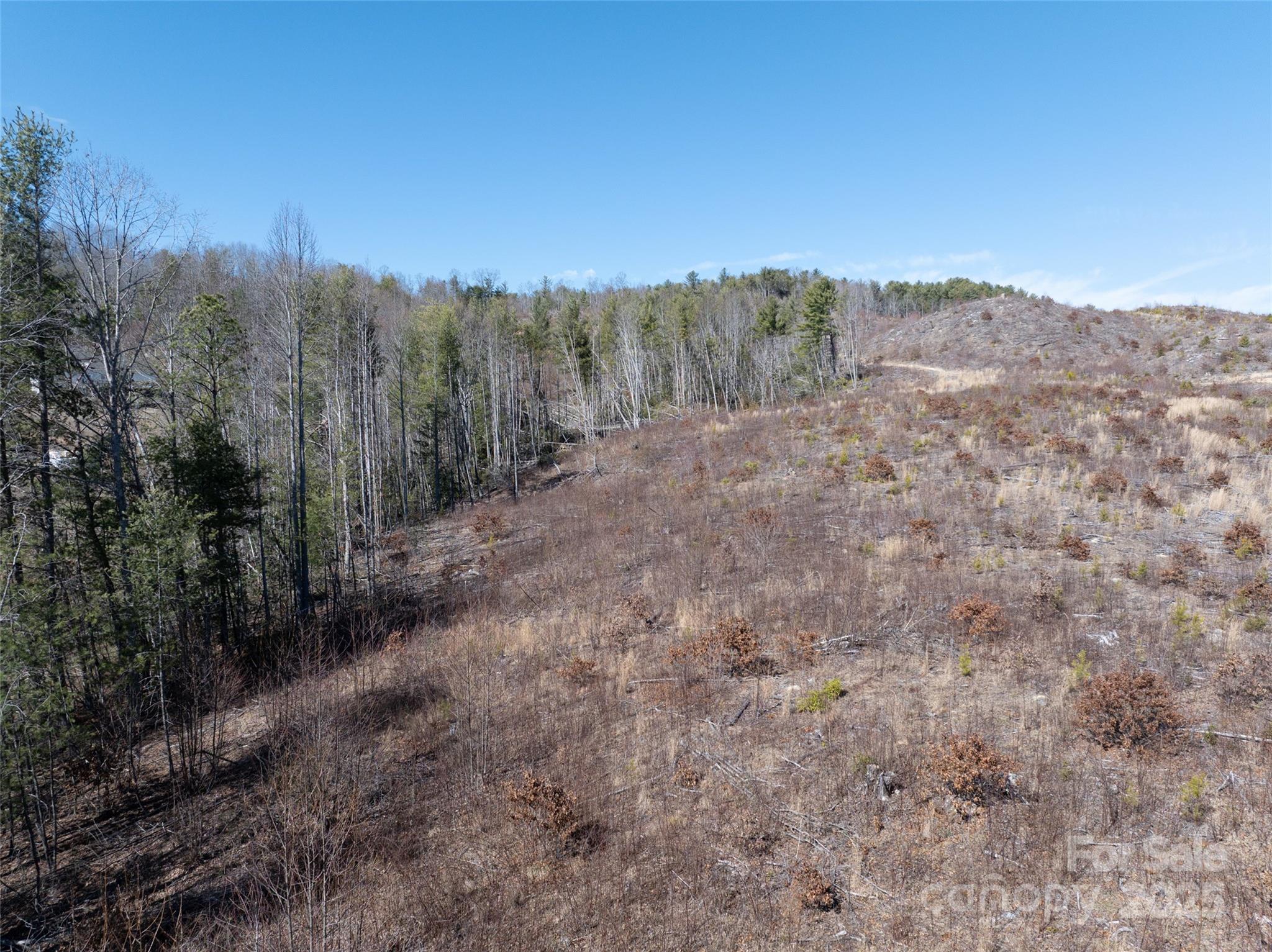 9999 Star Point Drive Hendersonville NC 28792