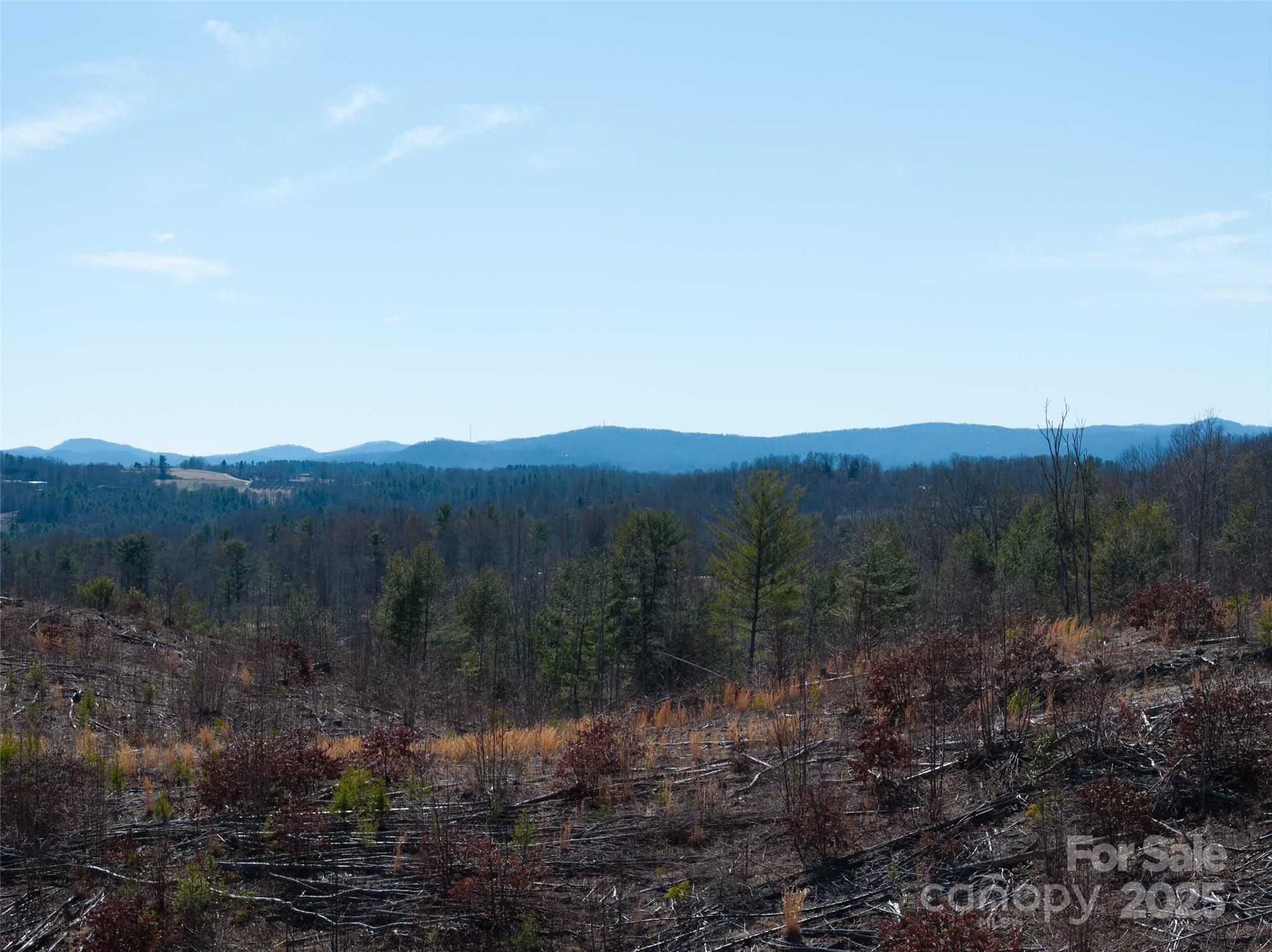 9999 Star Point Drive Hendersonville NC 28792