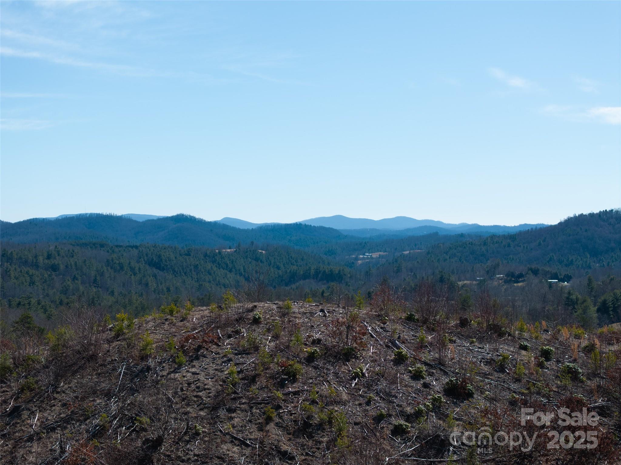 9999 Star Point Drive Hendersonville NC 28792