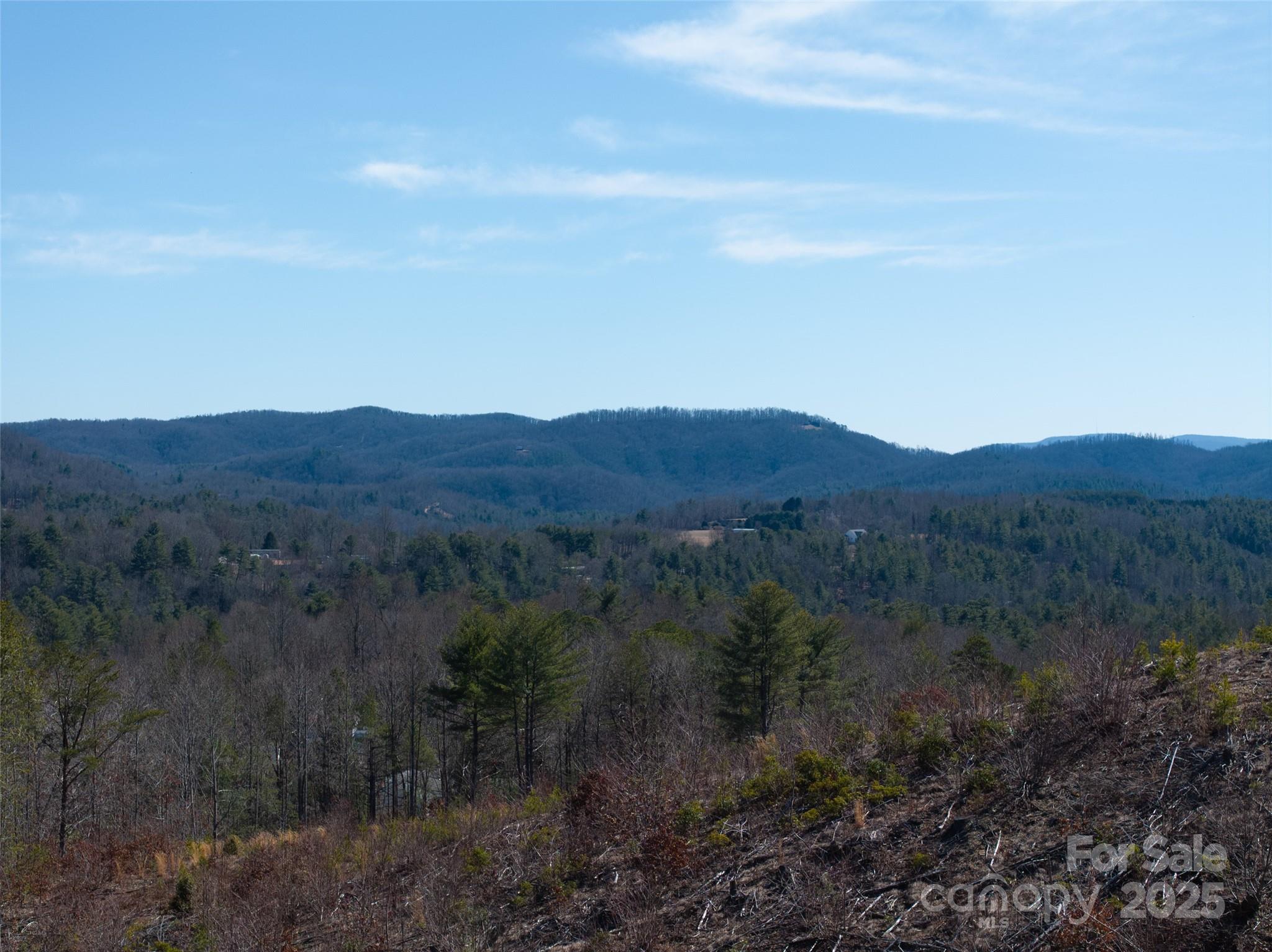 9999 Star Point Drive Hendersonville NC 28792