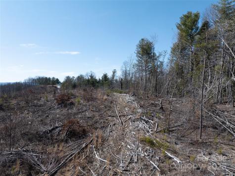9999 Star Point Drive Hendersonville NC 28792