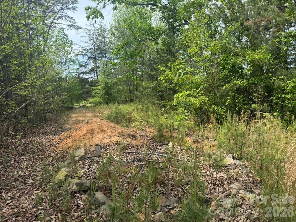 5920 Overland Drive Connelly Springs NC 28612