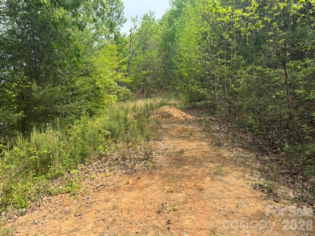 5920 Overland Drive Connelly Springs NC 28612