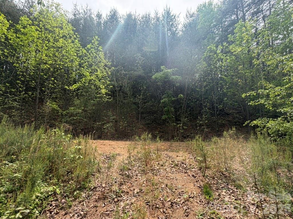 5920 Overland Drive Connelly Springs NC 28612