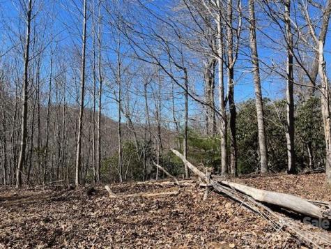 803254 Ivy Road Mills River NC 28759