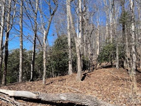 803254 Ivy Road Mills River NC 28759