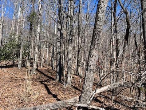803254 Ivy Road Mills River NC 28759