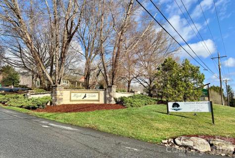803254 Ivy Road Mills River NC 28759