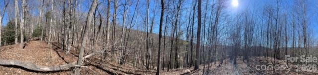 803254 Ivy Road Mills River NC 28759