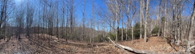 803254 Ivy Road Mills River NC 28759