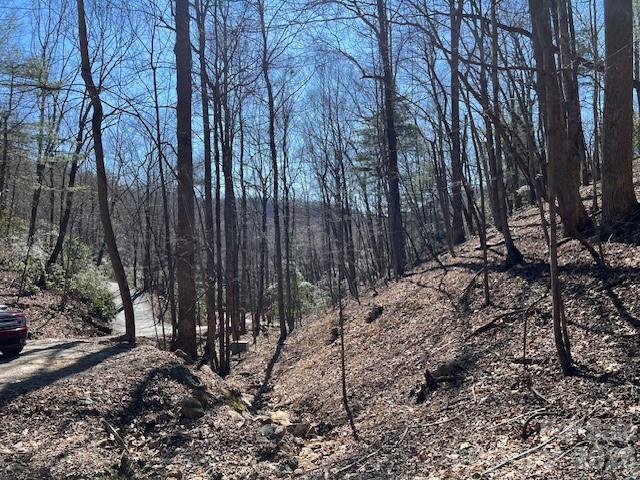 803254 Ivy Road Mills River NC 28759