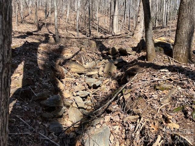 803254 Ivy Road Mills River NC 28759