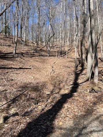 803254 Ivy Road Mills River NC 28759