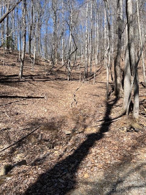 803254 Ivy Road Mills River NC 28759