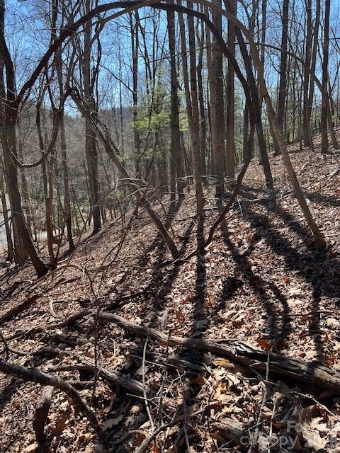 803254 Ivy Road Mills River NC 28759