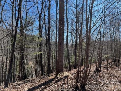 803254 Ivy Road Mills River NC 28759