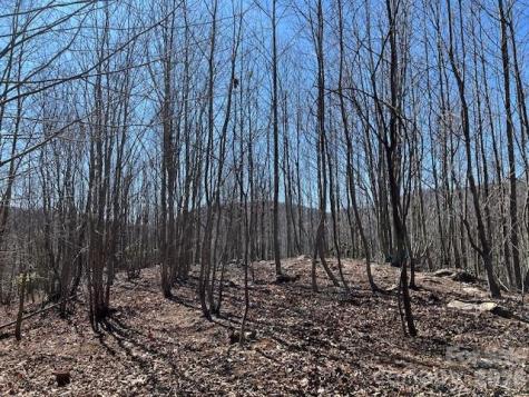 803254 Ivy Road Mills River NC 28759