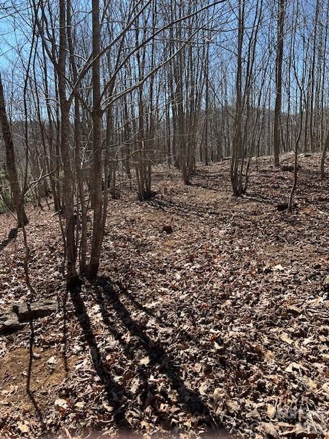 803254 Ivy Road Mills River NC 28759