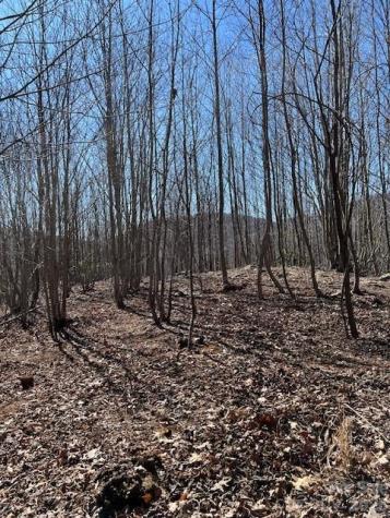 803254 Ivy Road Mills River NC 28759