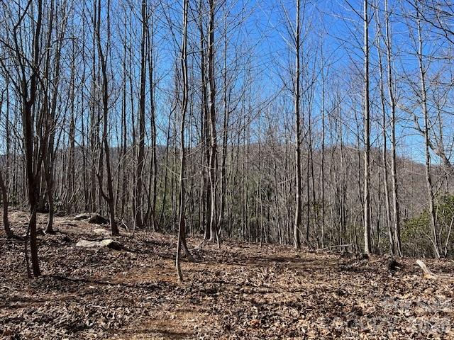 803254 Ivy Road Mills River NC 28759