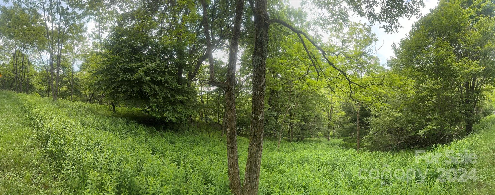 0 Friendship Church Road Boone NC 28607