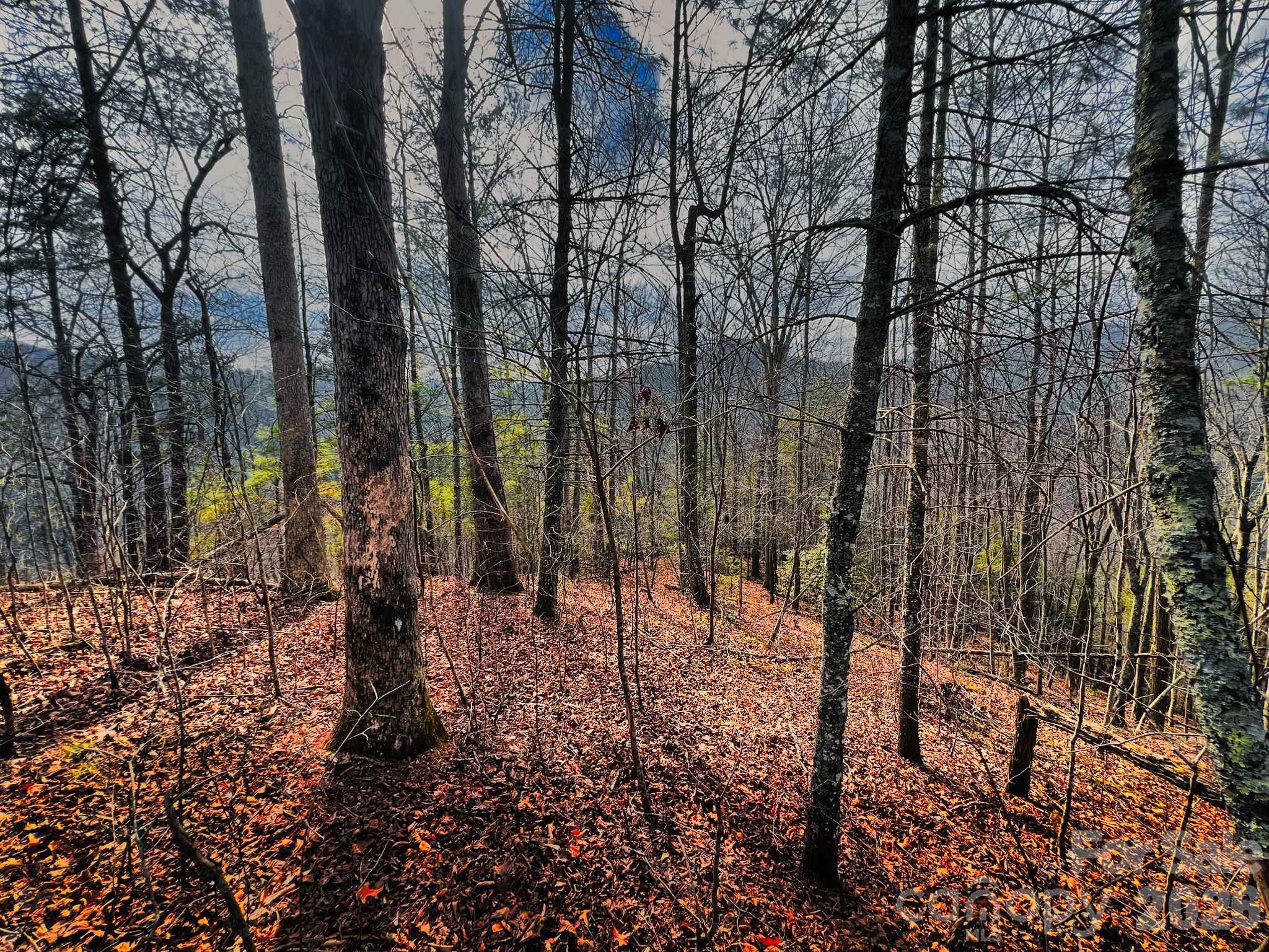 232 Thorncliff Road Marshall NC 28753