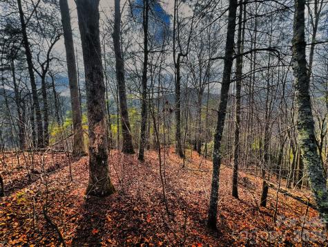 232 Thorncliff Road Marshall NC 28753