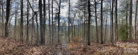 232 Thorncliff Road Marshall NC 28753