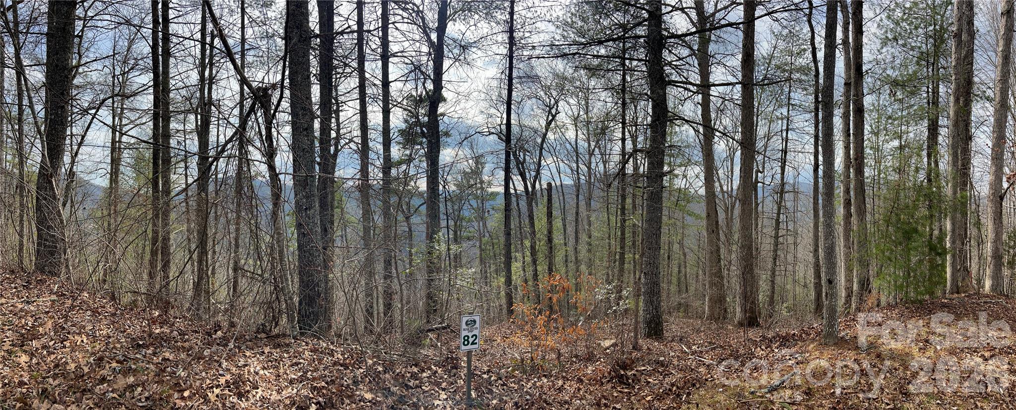 232 Thorncliff Road Marshall NC 28753