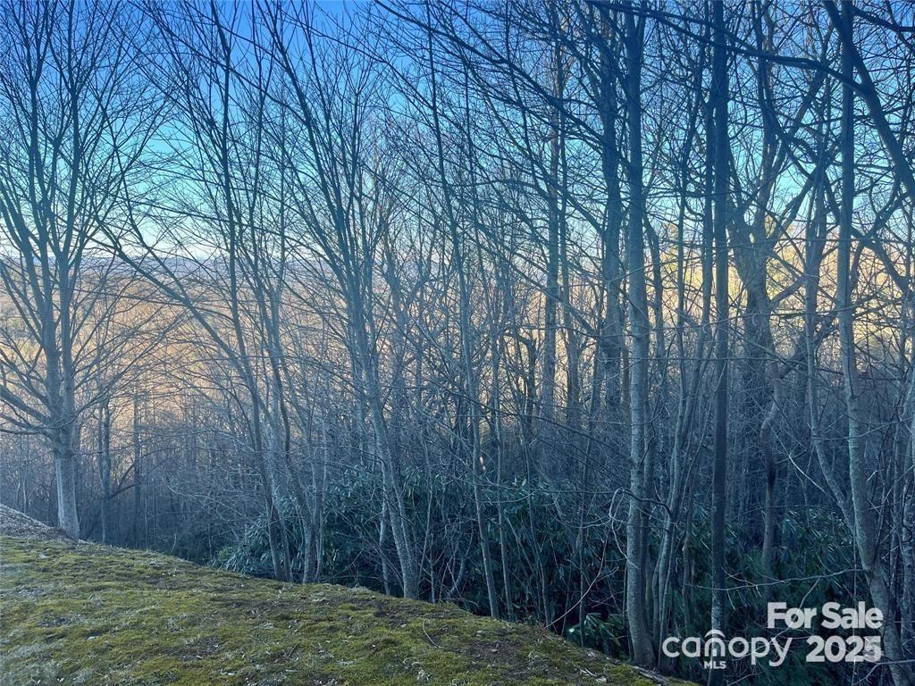 000 Roxworth Court Flat Rock NC 28731