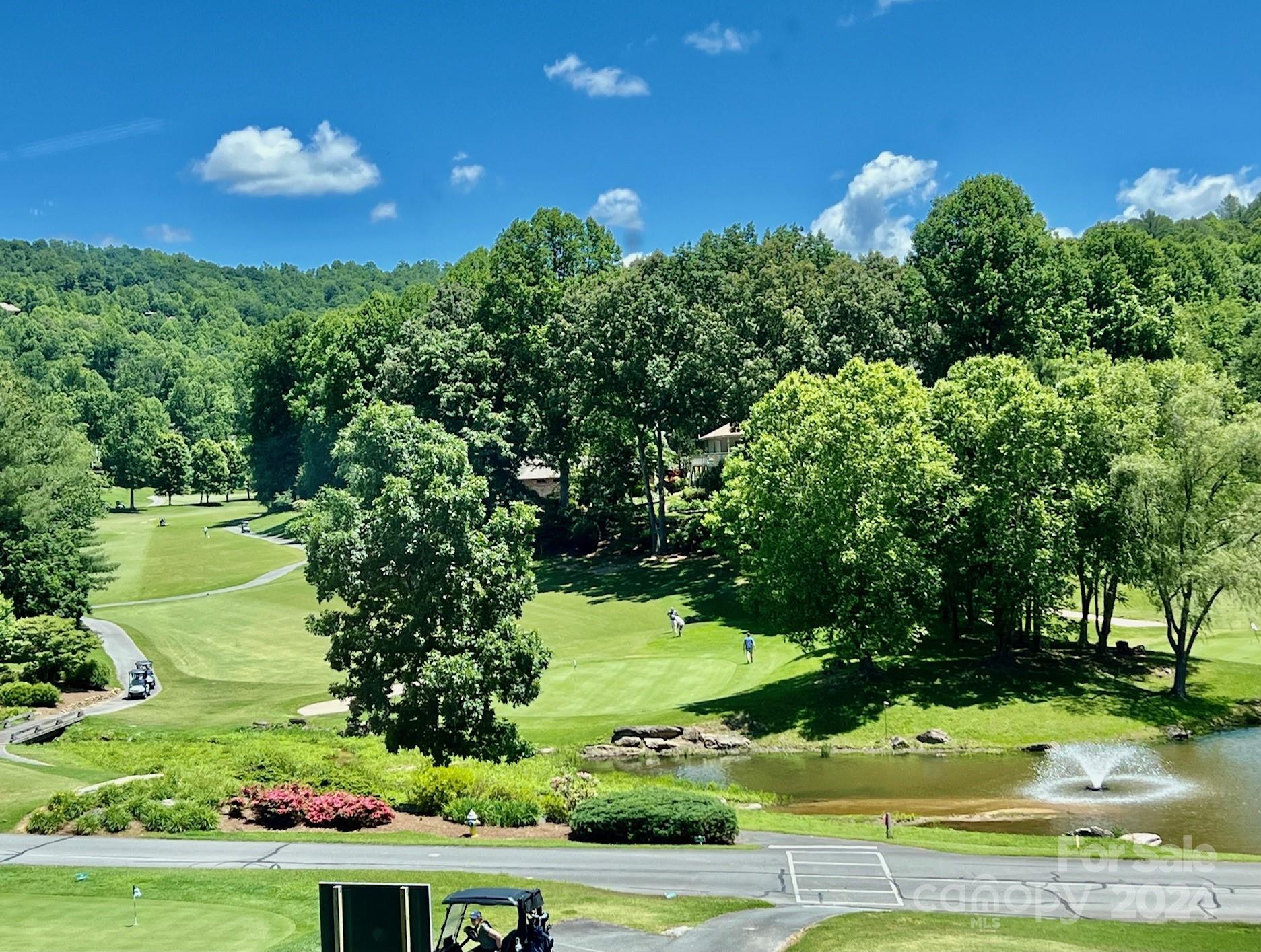 271 Mountain Morning Lane Hendersonville NC 28739