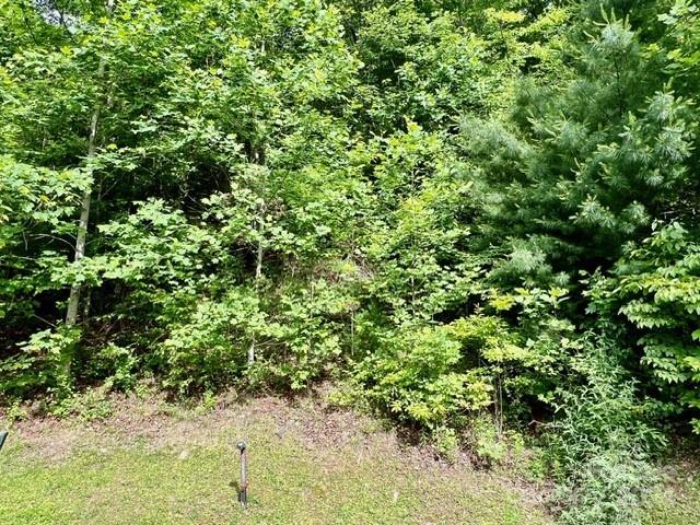 271 Mountain Morning Lane Hendersonville NC 28739