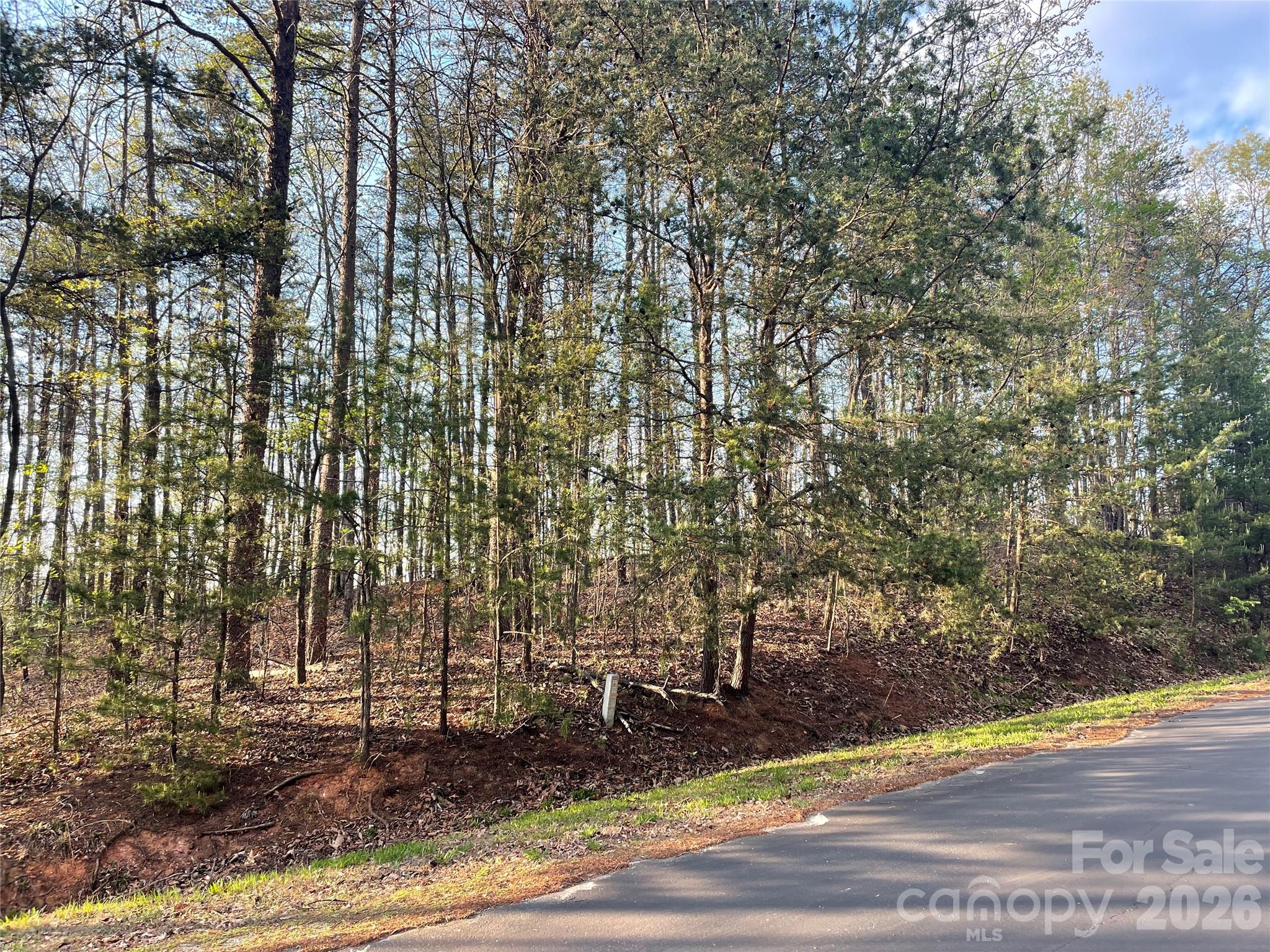 45 Woodgate Drive Bostic NC 28018