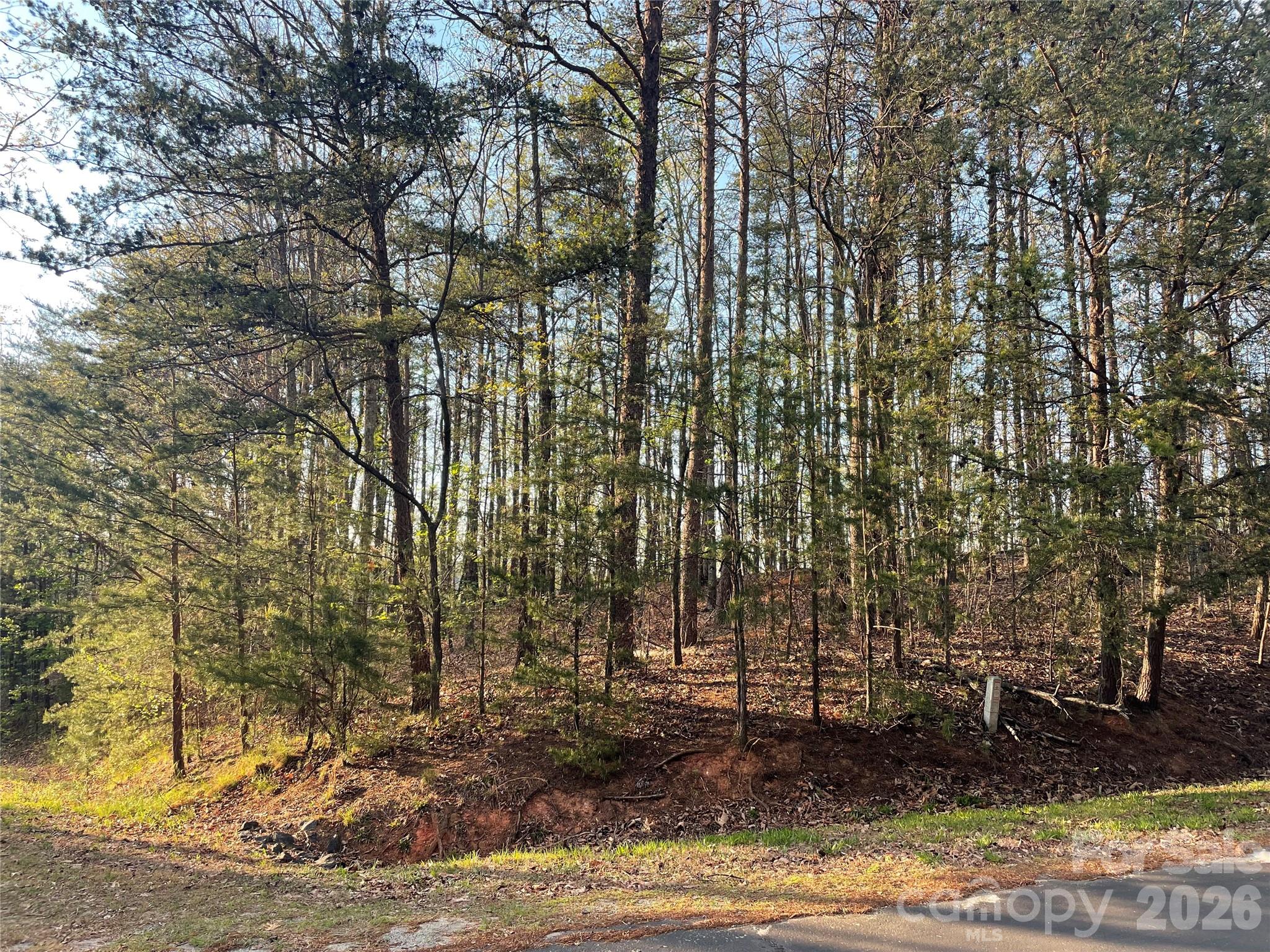 45 Woodgate Drive Bostic NC 28018