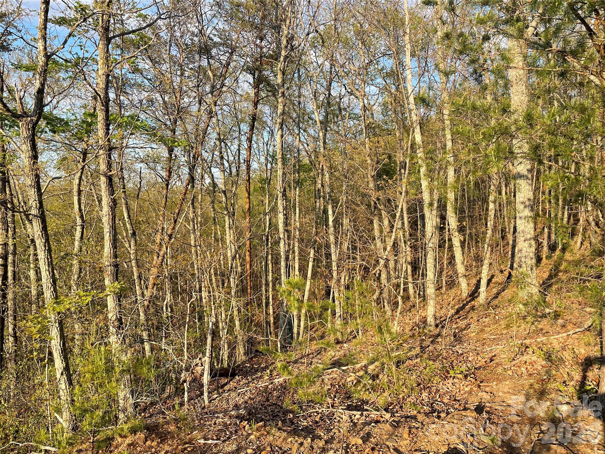 45 Woodgate Drive Bostic NC 28018