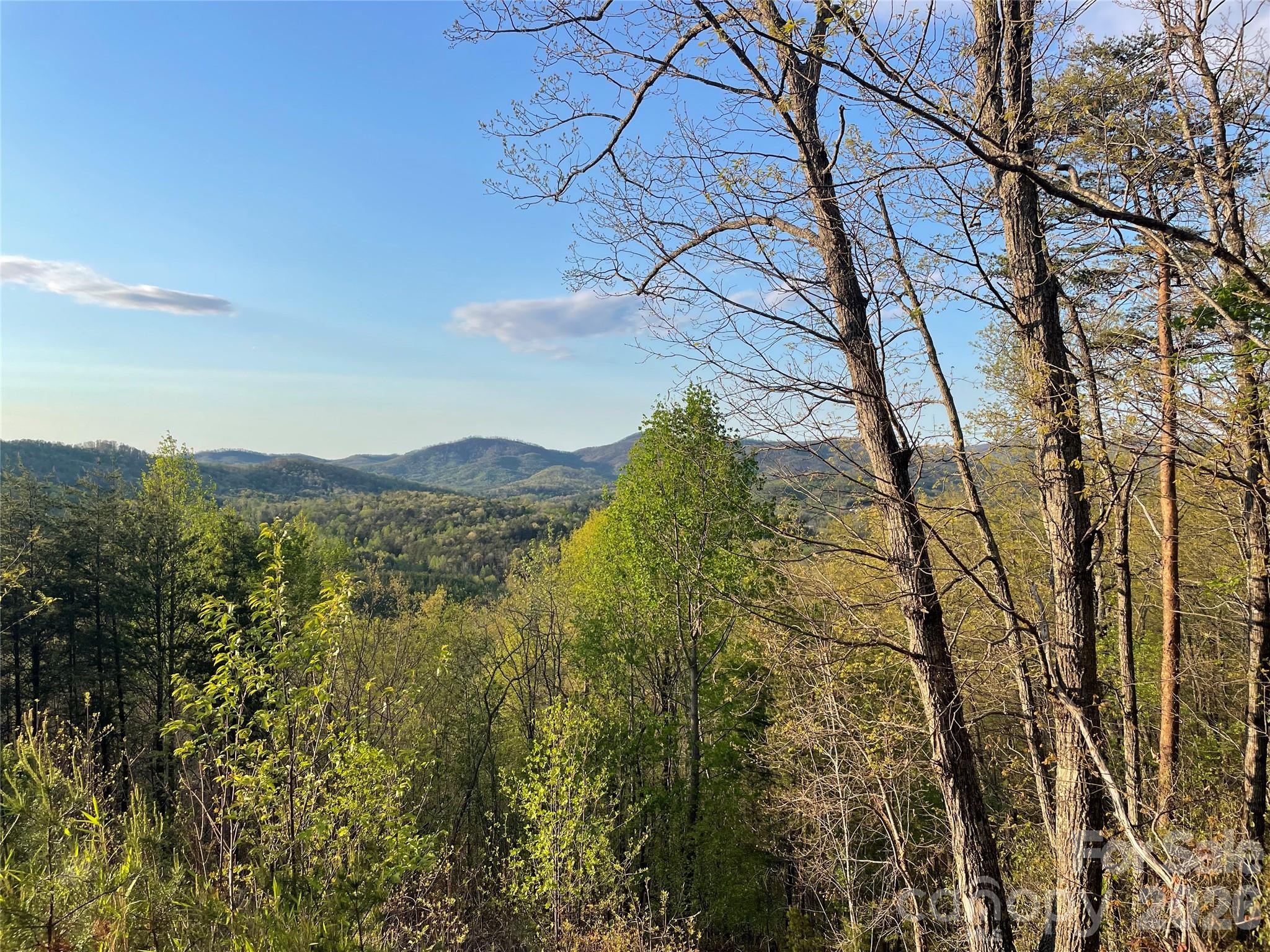 45 Woodgate Drive Bostic NC 28018