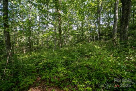 Lot 8 Sweetwater Ridge Road Balsam Grove NC 28708