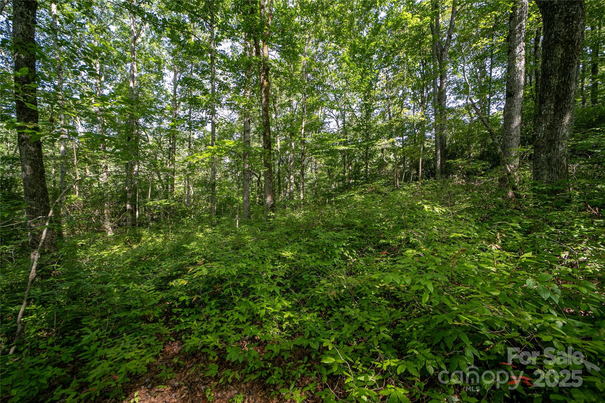 Lot 8 Sweetwater Ridge Road Balsam Grove NC 28708