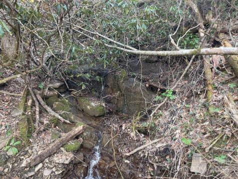 5 Copperhead Cove Sylva NC 28779