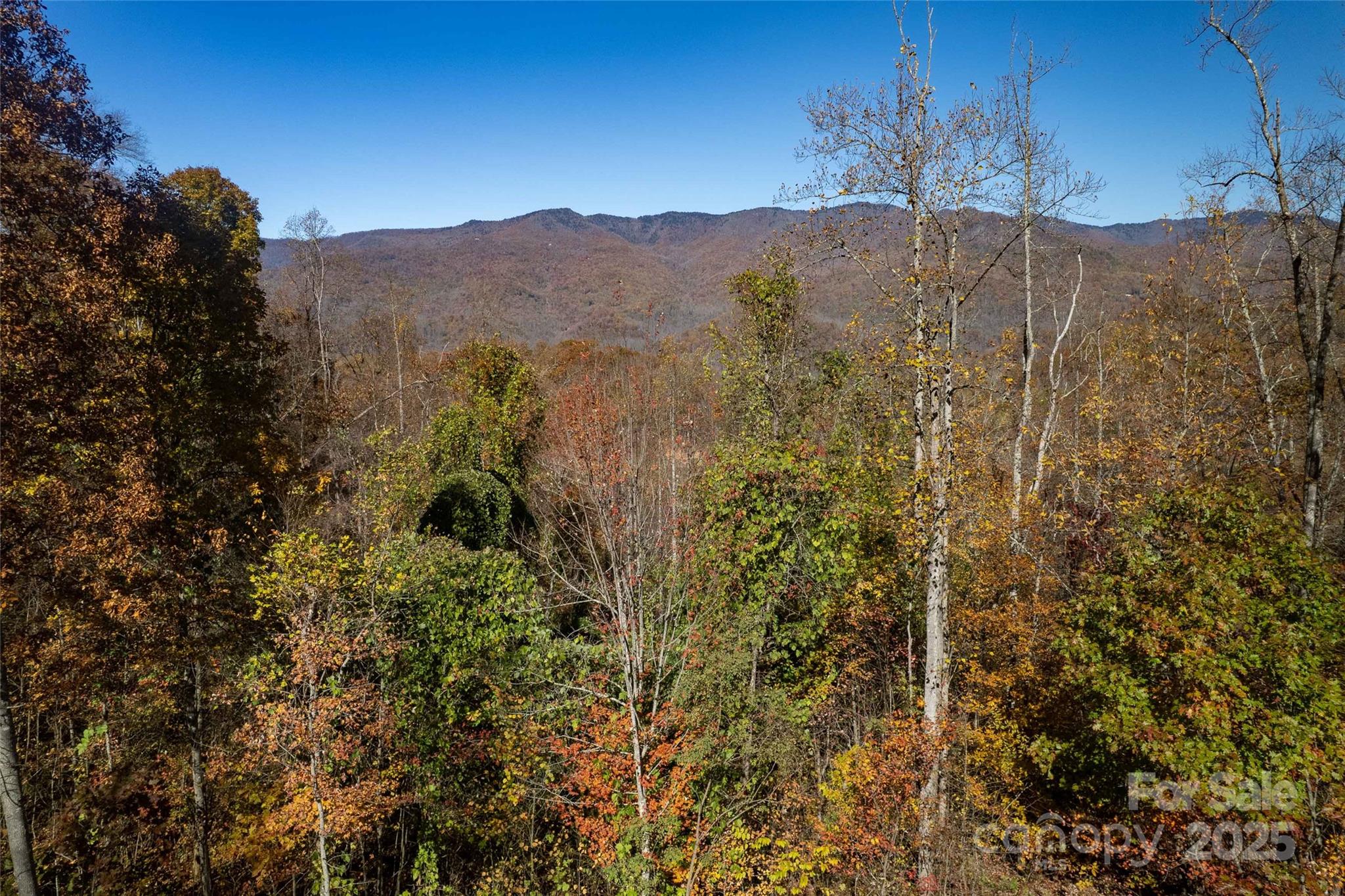 5 Copperhead Cove Sylva NC 28779