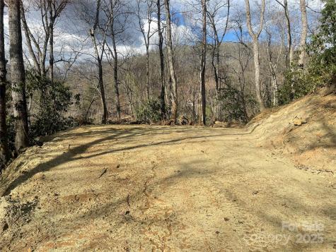 5 Copperhead Cove Sylva NC 28779