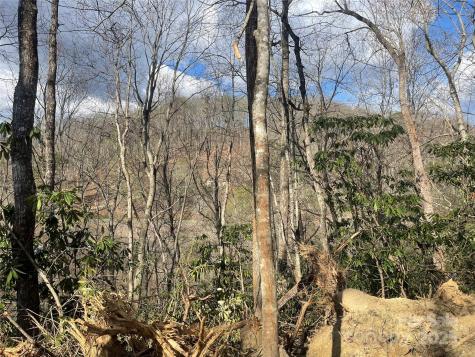 5 Copperhead Cove Sylva NC 28779