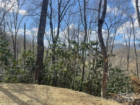 5 Copperhead Cove Sylva NC 28779