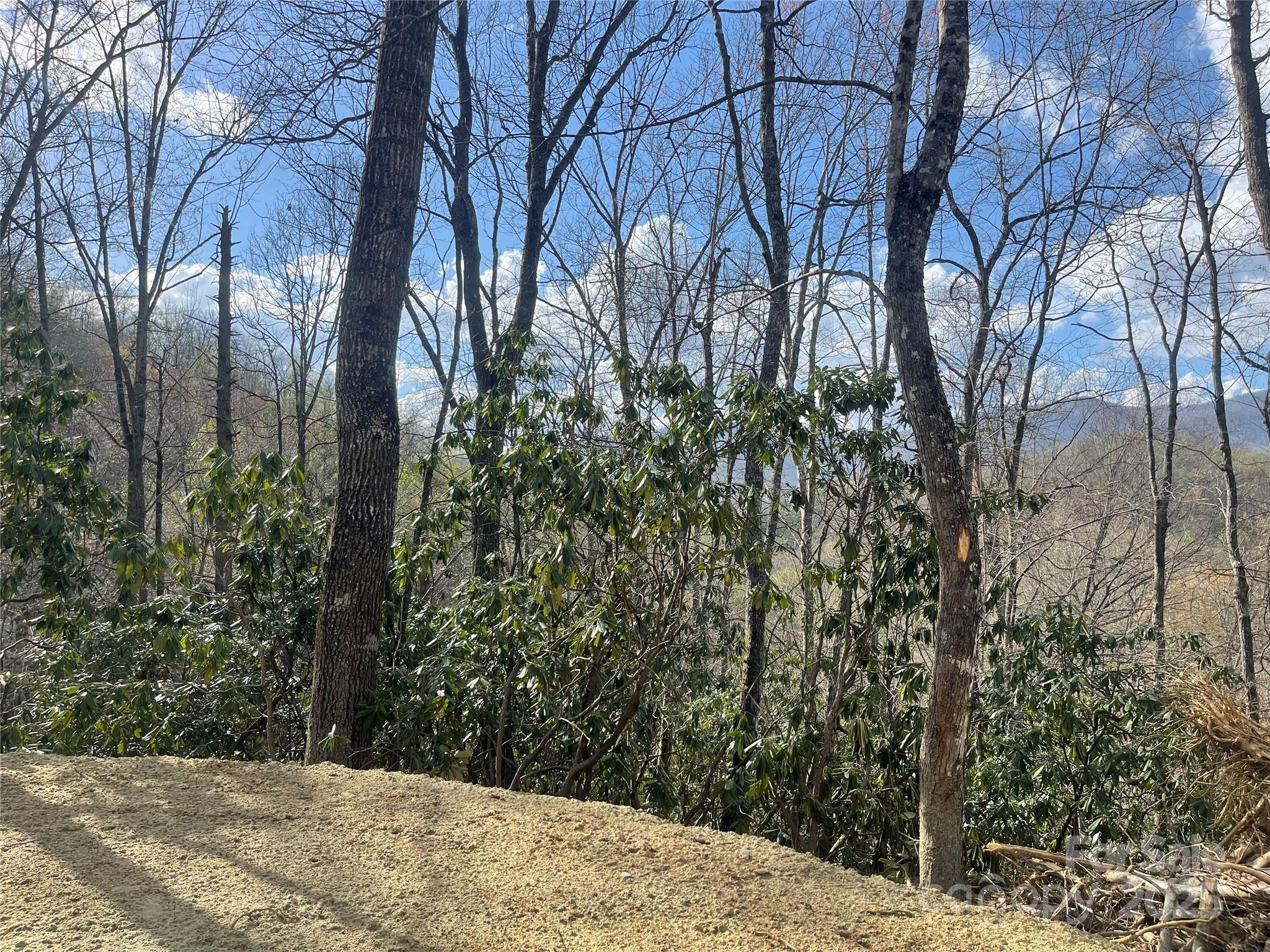 5 Copperhead Cove Sylva NC 28779