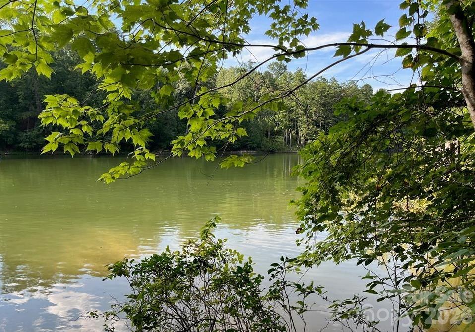 00 Canoe Drive Mill Spring NC 28756