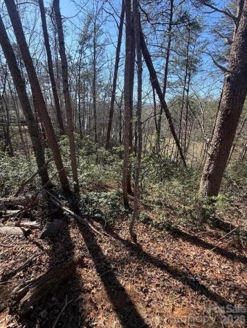 00 Canoe Drive Mill Spring NC 28756