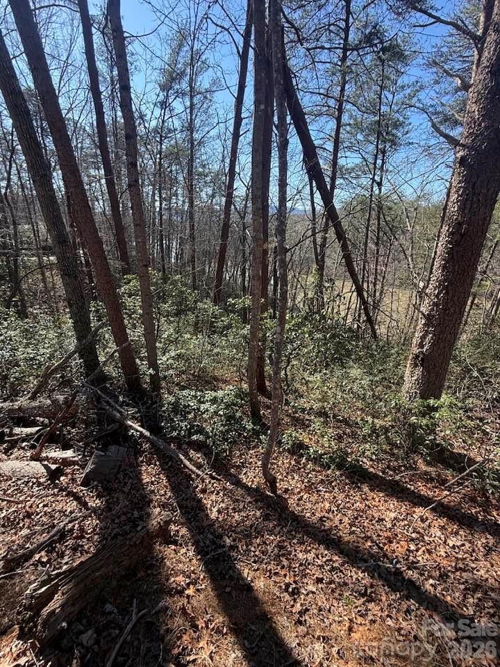 00 Canoe Drive Mill Spring NC 28756